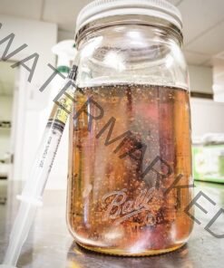 best place to buy thc oil